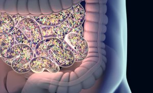 Caratteristiche e benefici dello yogurt greco