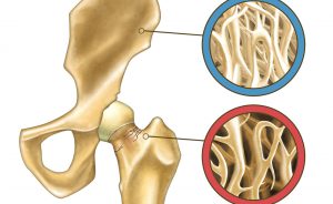 Magnesio e Vitamina D: per la salute delle ossa