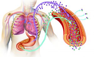 Diabete e Prevenzione a Milano