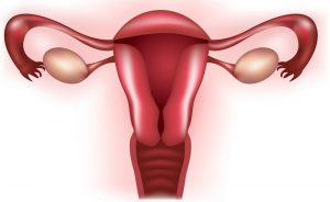 isteroscopia diagnostica: a cosa serve? è dolorosa?