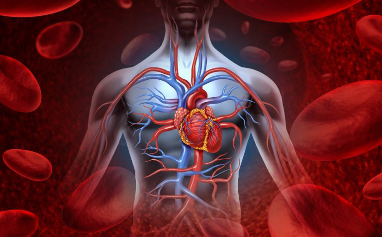 Sonnellino pomeridiano? Fa bene al cuore