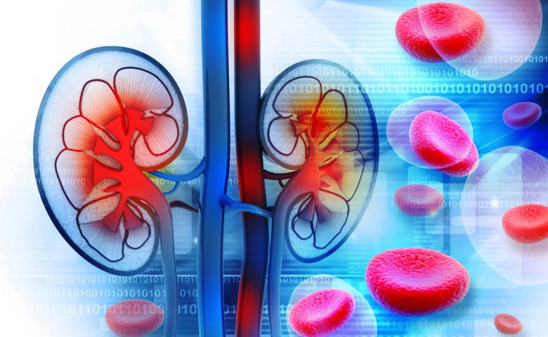 Malattie renali, rischio molto alto per i diabetici: le novità