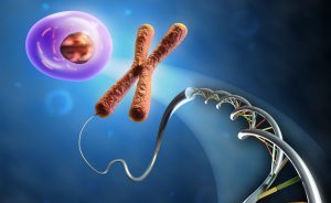 malattie autoimmuni: sono legate?