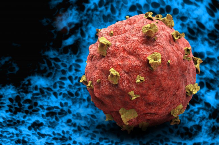 Broccoli: la loro azione può mettere KO il cancro