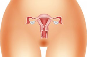 Menopausa: i Rischi