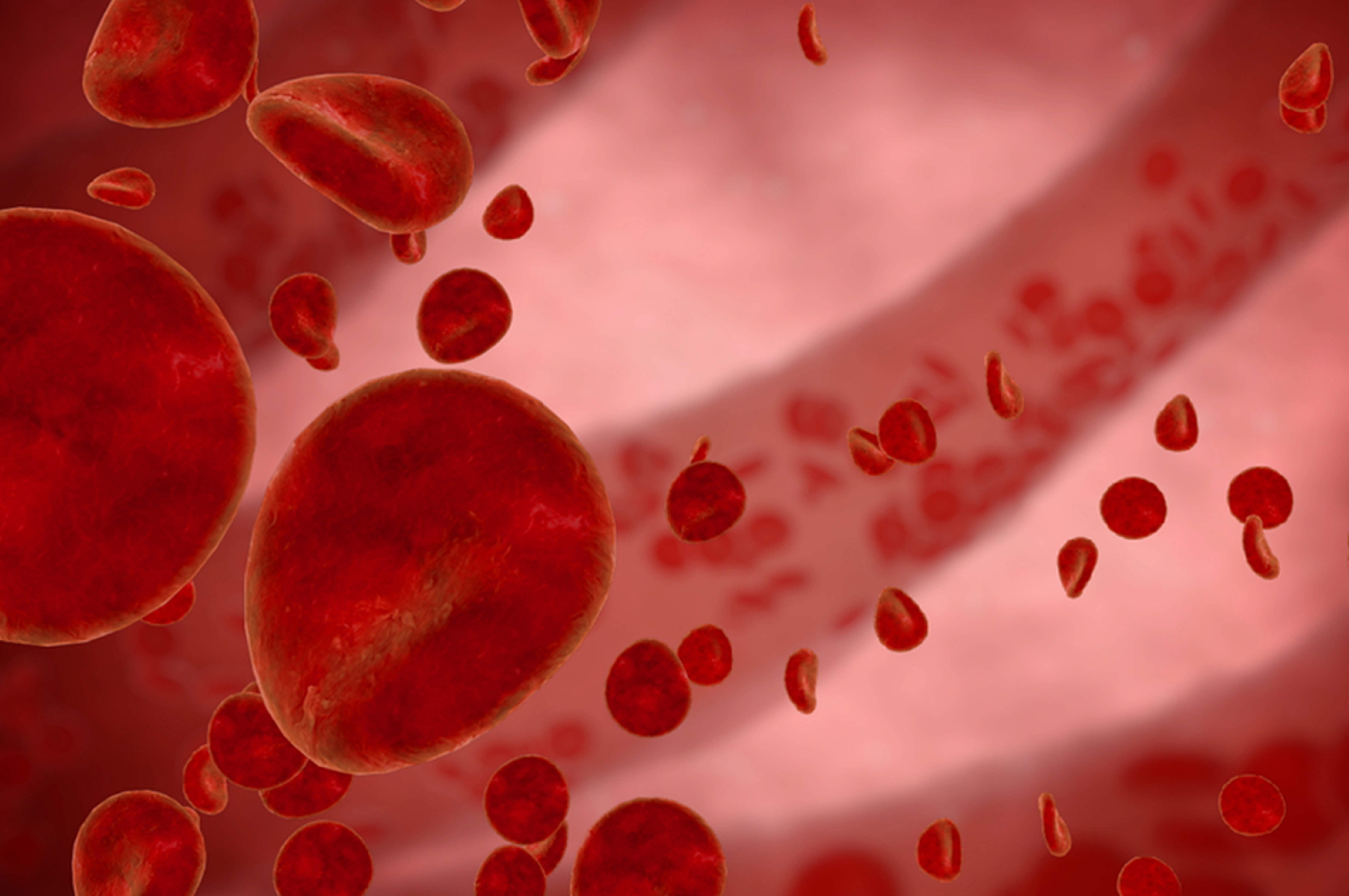 Ferritina alta no sangue dieta